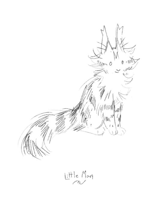 Pet Sketch
